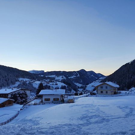 Appartamento Dolomiti Selva di Val Gardena Ngoại thất bức ảnh