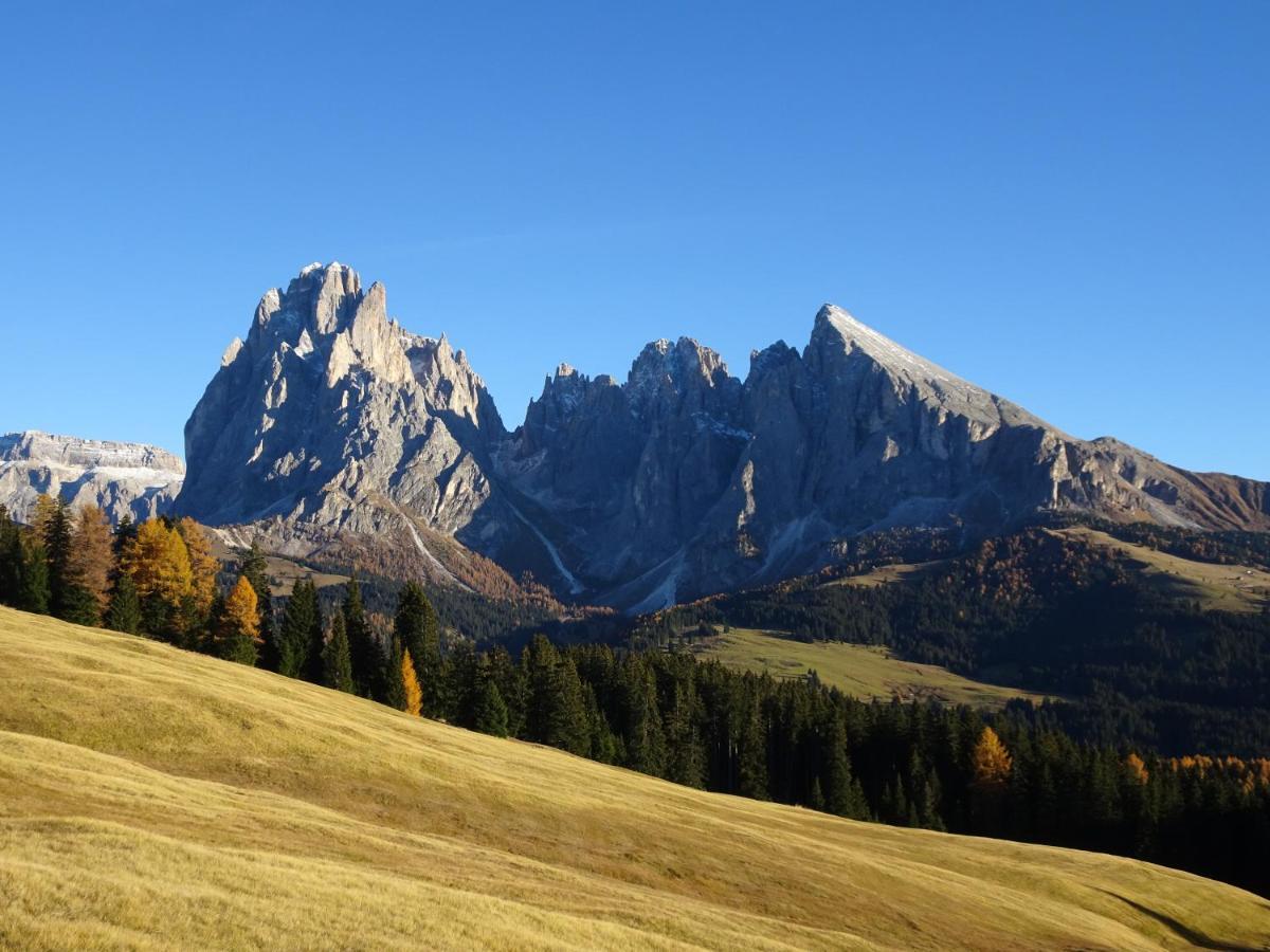Appartamento Dolomiti Selva di Val Gardena Ngoại thất bức ảnh