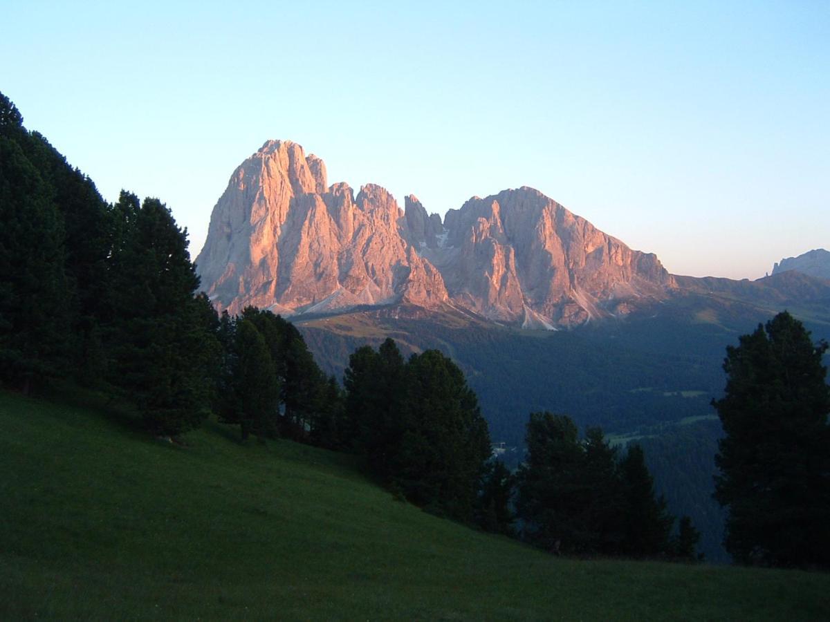 Appartamento Dolomiti Selva di Val Gardena Ngoại thất bức ảnh
