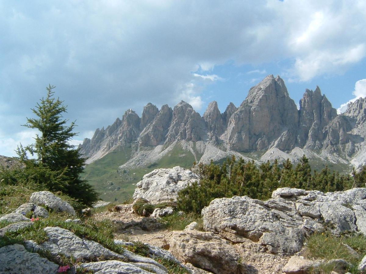 Appartamento Dolomiti Selva di Val Gardena Ngoại thất bức ảnh